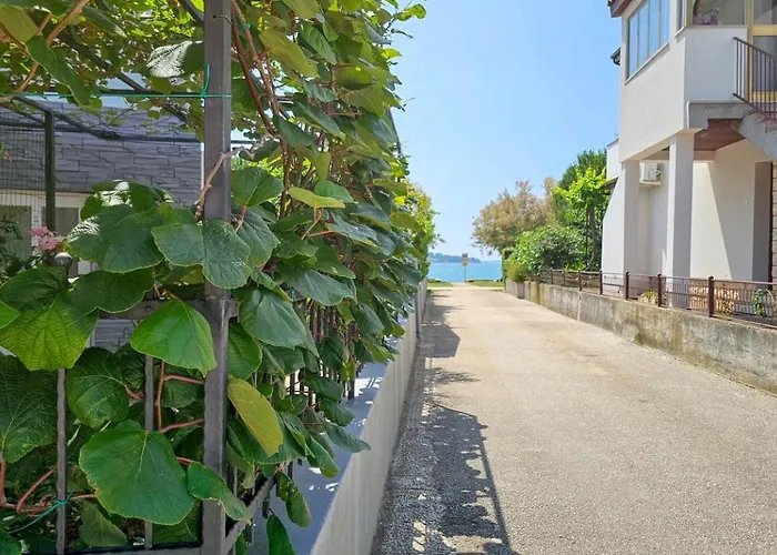 Pintar 2 * Novigrad Istria