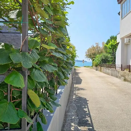 Pintar 2 * Novigrad Istria